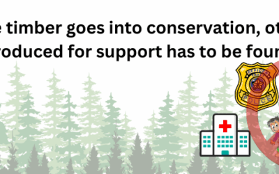 Forest Conservation in Washington: What It Means for LD 24